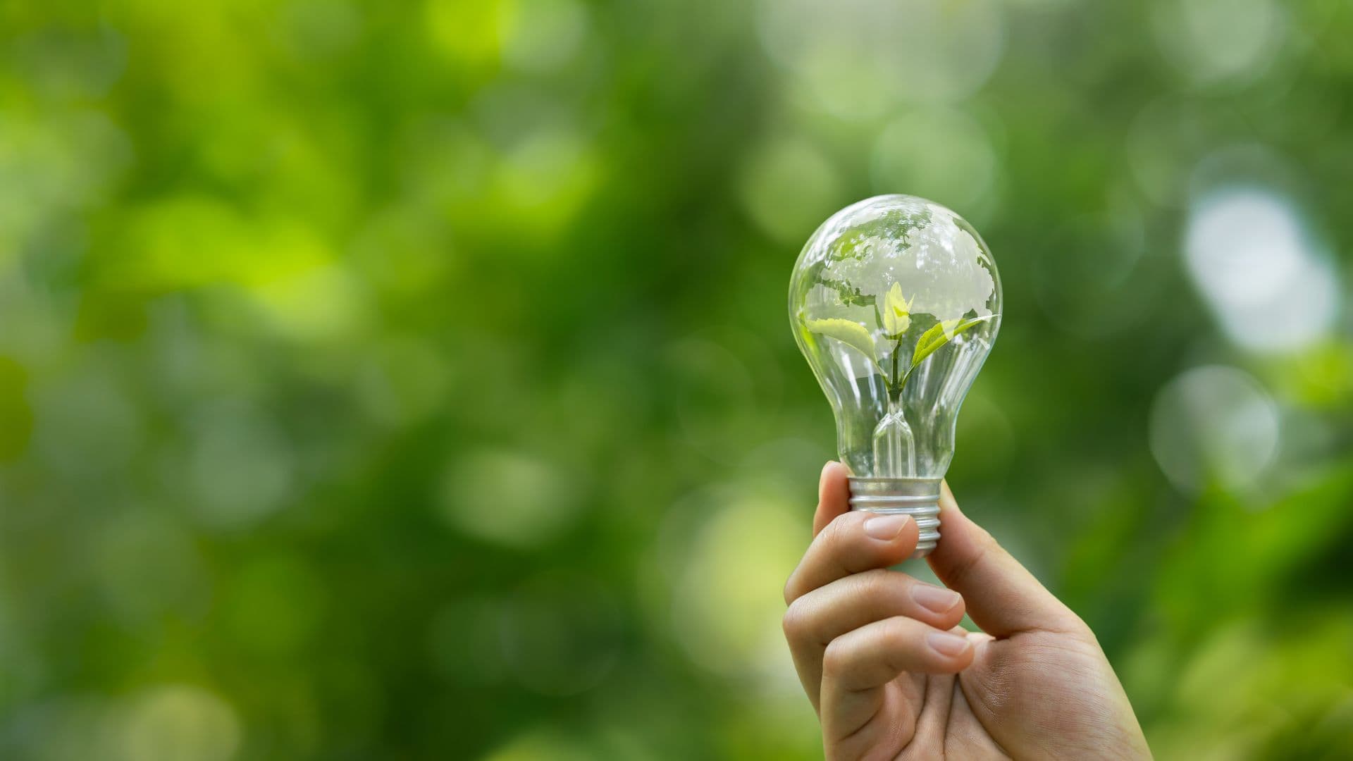 WattEV Named a 2026 BNEF Pioneer!